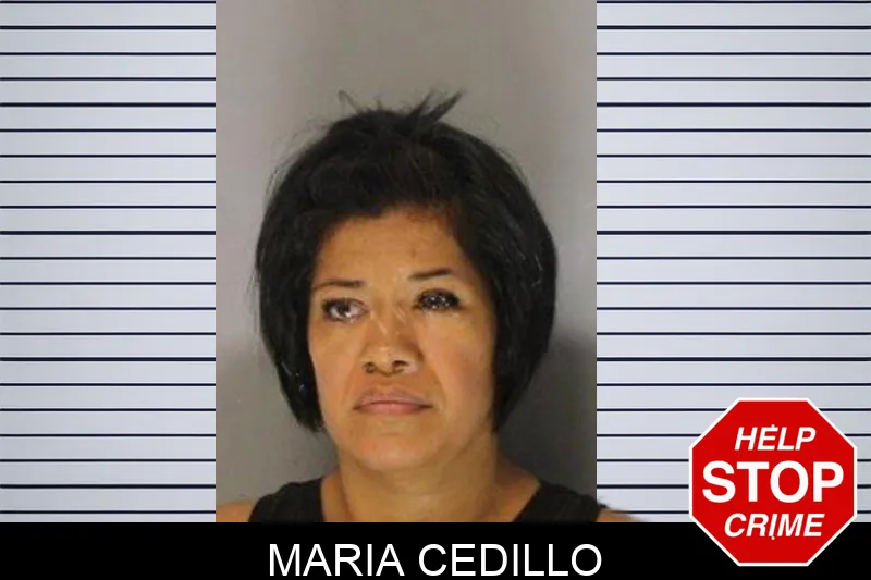 Maria Cedillo mugshot – Hall County , Georgia Maria Cedillo mugshot