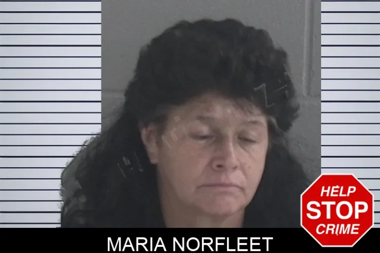 Maria Norfleet