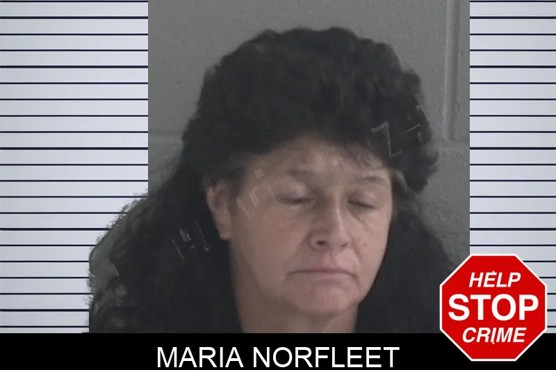 Maria Norfleet Mugshots