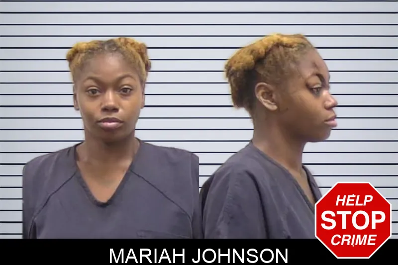 Mariah Johnson Mugshots