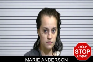 Marie Anderson mugshot