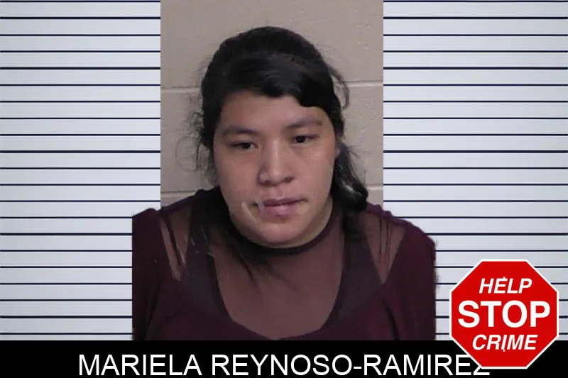 Mariela Reynoso-Ramirez Mugshots