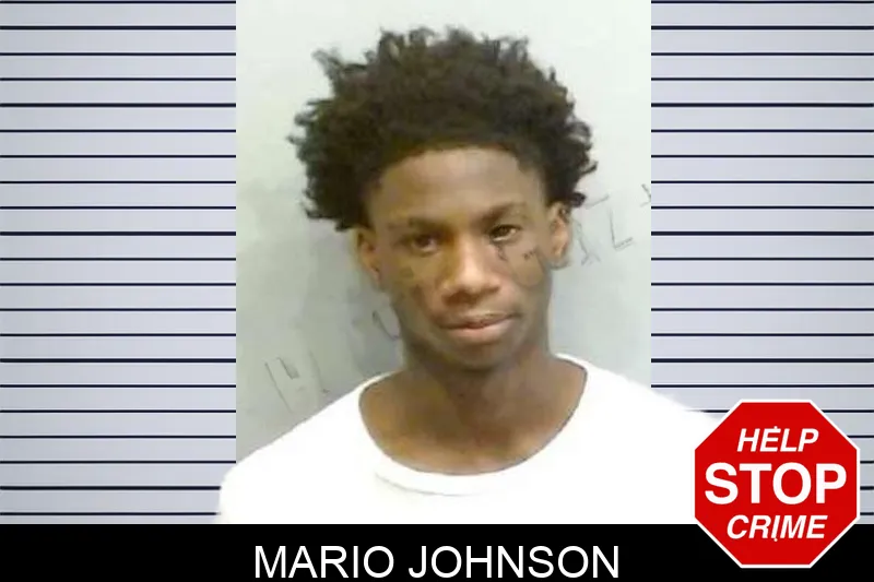 Mario Johnson mugshot