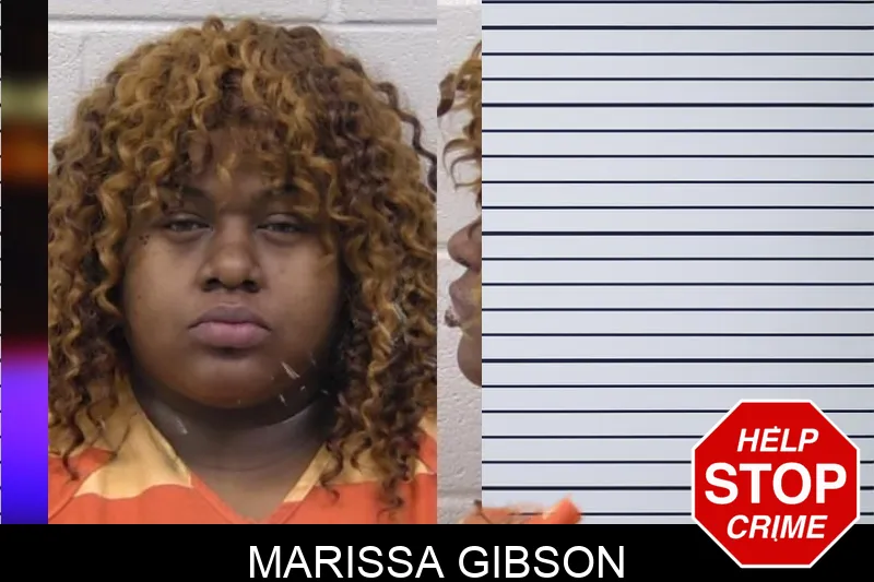 Marissa Gibson mugshot – Paulding County , Georgia Marissa Gibson mugshot