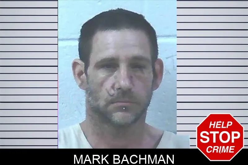 Mark Bachman
