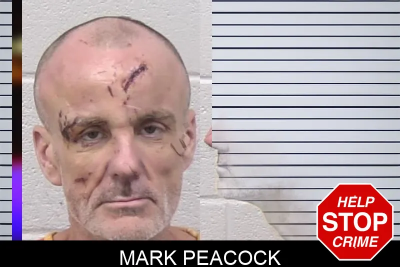 Mark Peacock mugshot – Paulding County , Georgia Mark Peacock mugshot