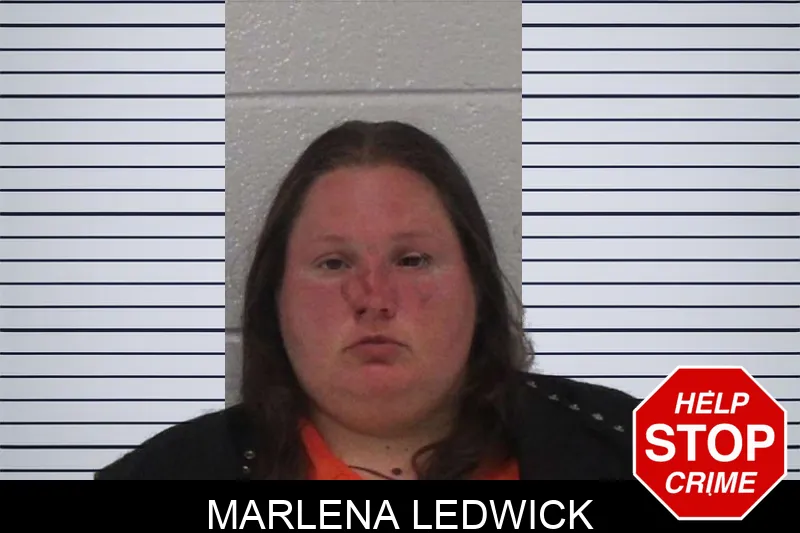 Marlena Ledwick Mugshots
