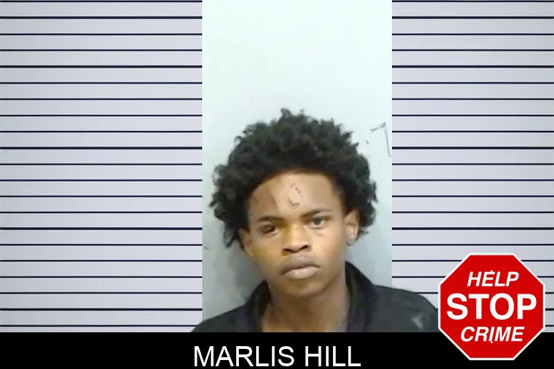 Marlis Hill mugshot