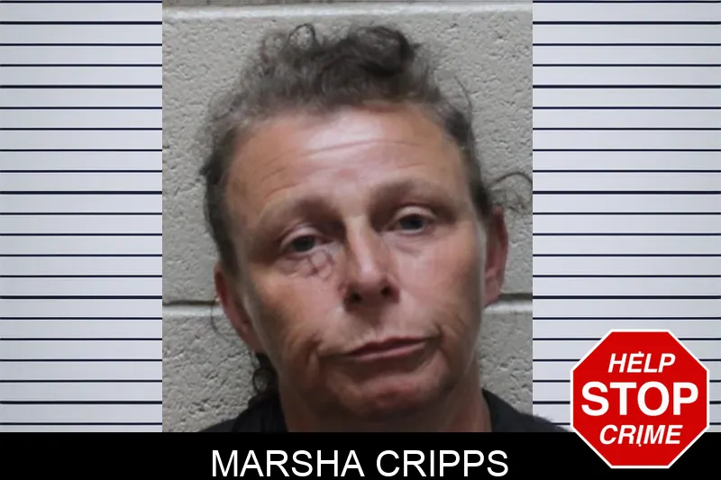 Marsha Cripps Mugshots