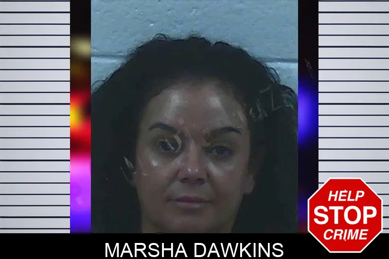 Marsha Dawkins Mugshots