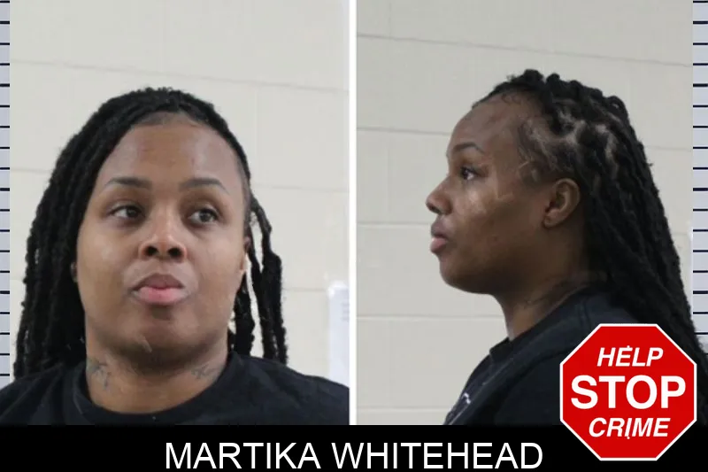 Martika Whitehead Mugshots