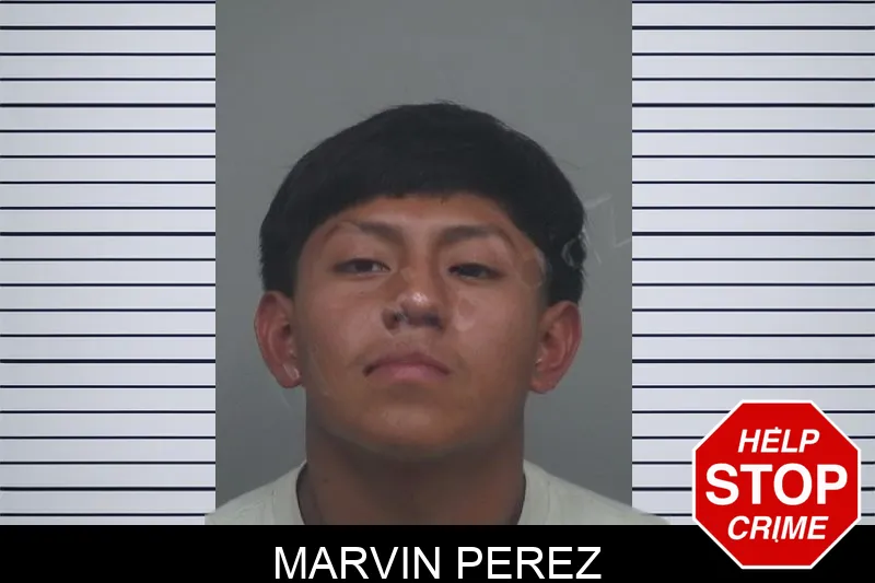 Marvin Perez Mugshots