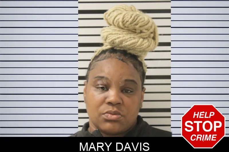 Mary Davis Mugshots