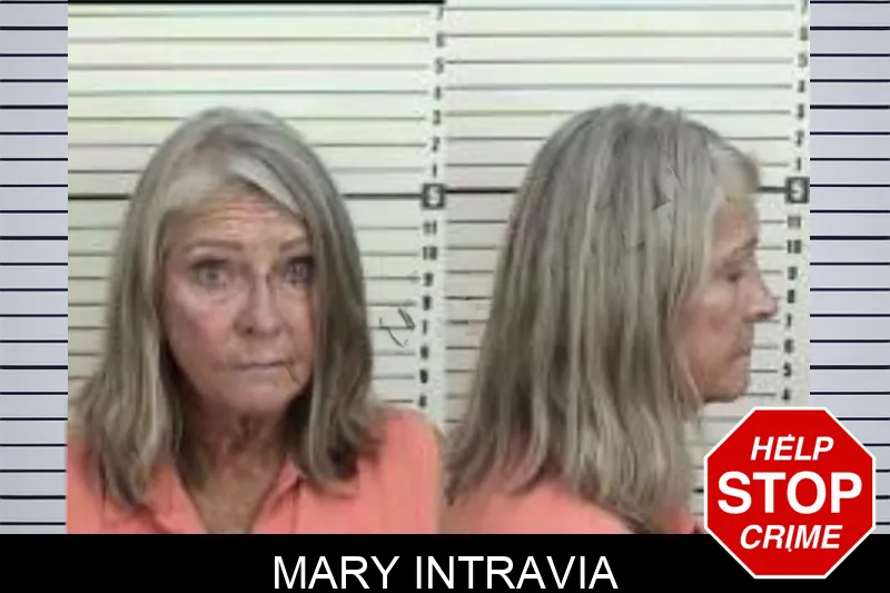 Mary Intravia Mugshots