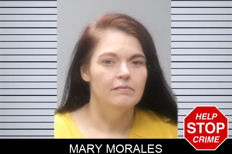 Mary Morales Mugshots