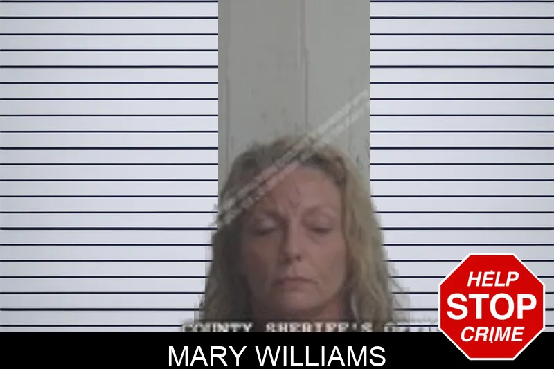 Mary Williams Mugshots