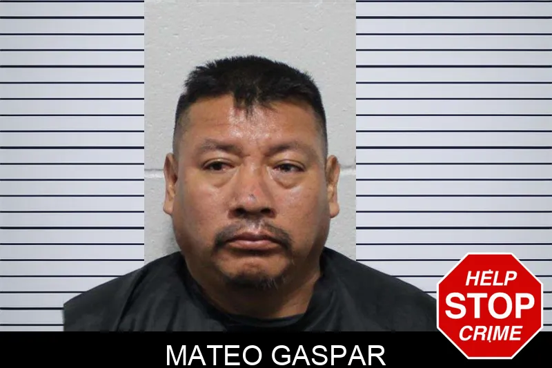 Mateo Gaspar Mugshots
