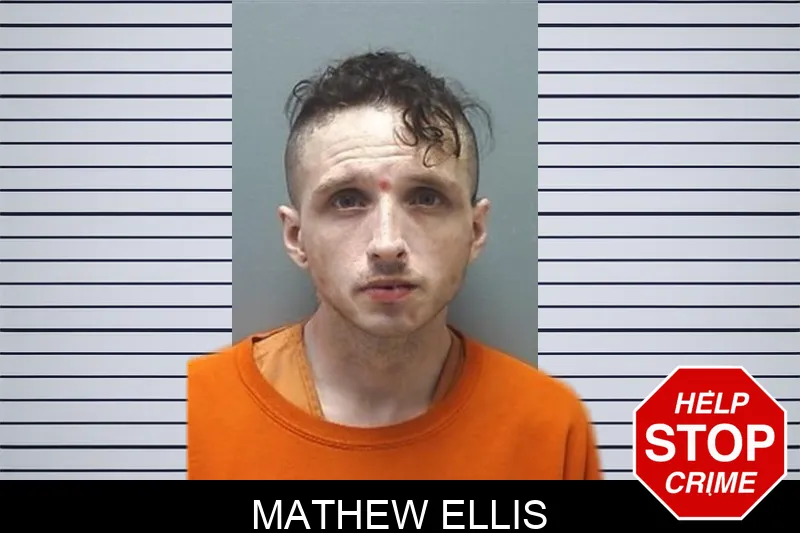 Mathew Ellis mugshot