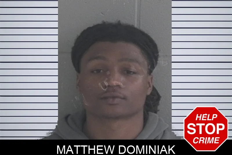 Matthew Dominiak mugshot – Brantley County , Georgia Matthew Dominiak