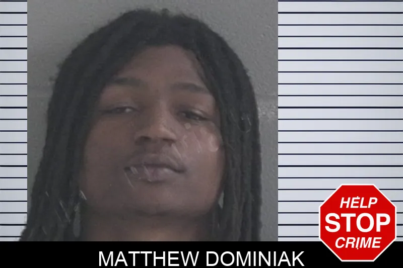 Matthew Dominiak Mugshots