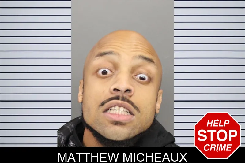 Matthew Micheaux mugshot – Cobb County , Georgia Matthew Micheaux mugshot