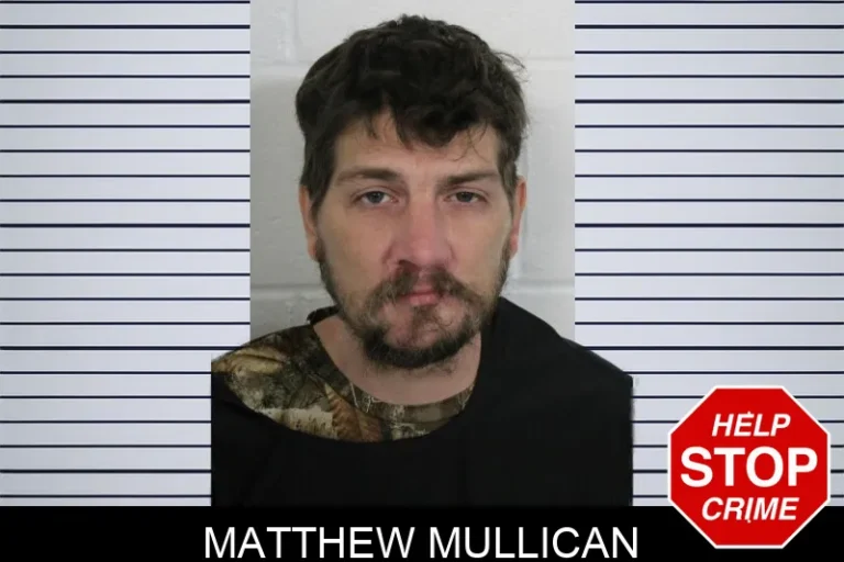 Matthew Mullican