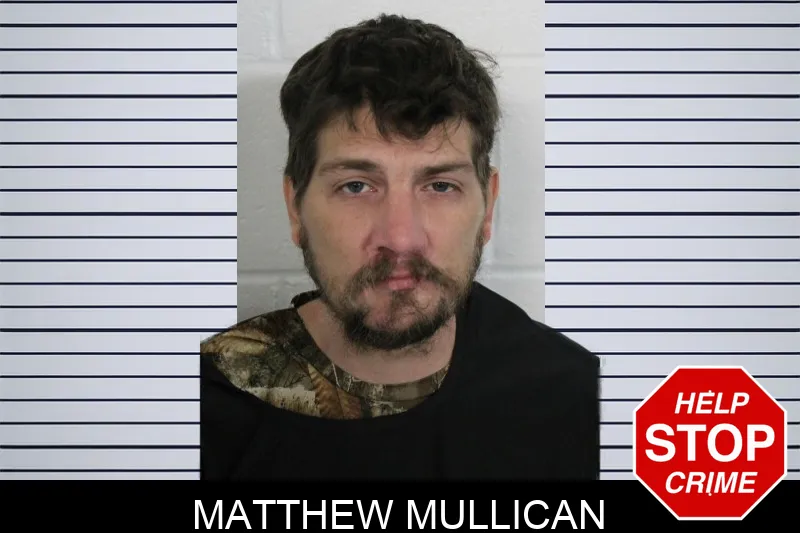 Matthew Mullican Mugshots