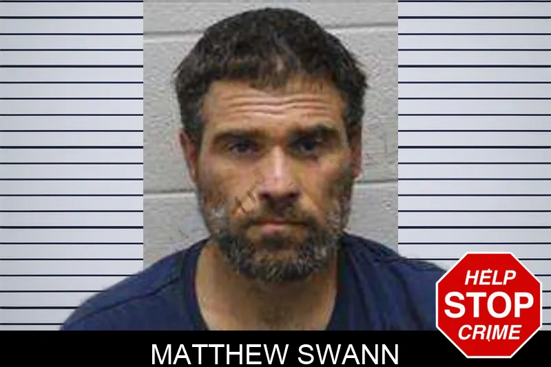 Matthew Swann Mugshots