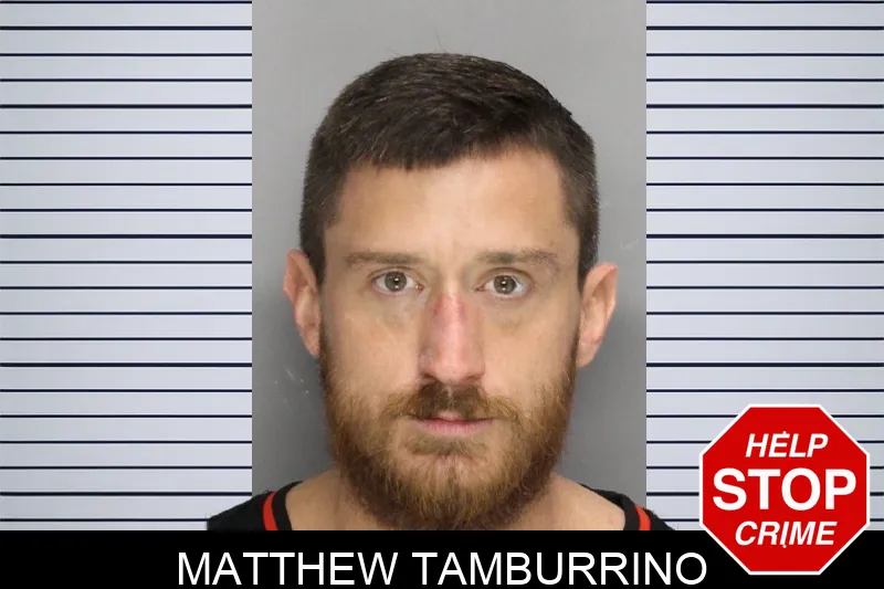 Matthew Tamburrino Mugshots