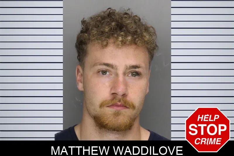 Matthew Waddilove mugshot – Cobb County , Georgia Matthew Waddilove mugshot