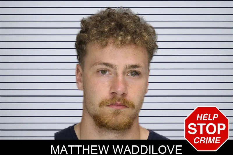 Matthew Waddilove Mugshots