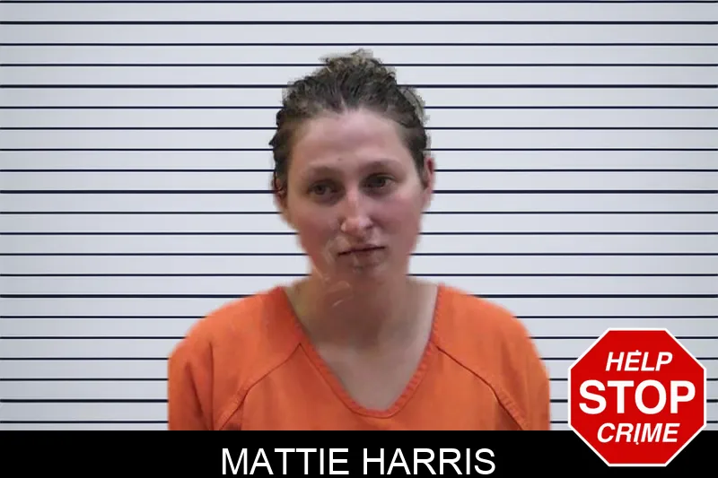 Mattie Harris mugshot