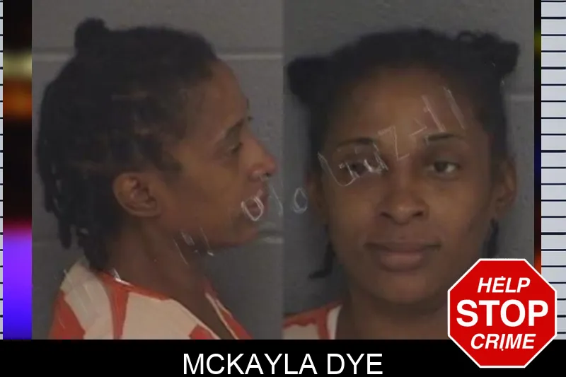 McKayla Dye Mugshots
