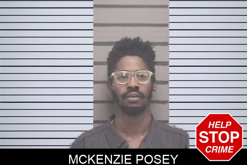 McKenzie Posey Mugshots