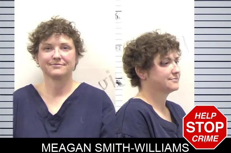 Meagan Smith-Williams Mugshots