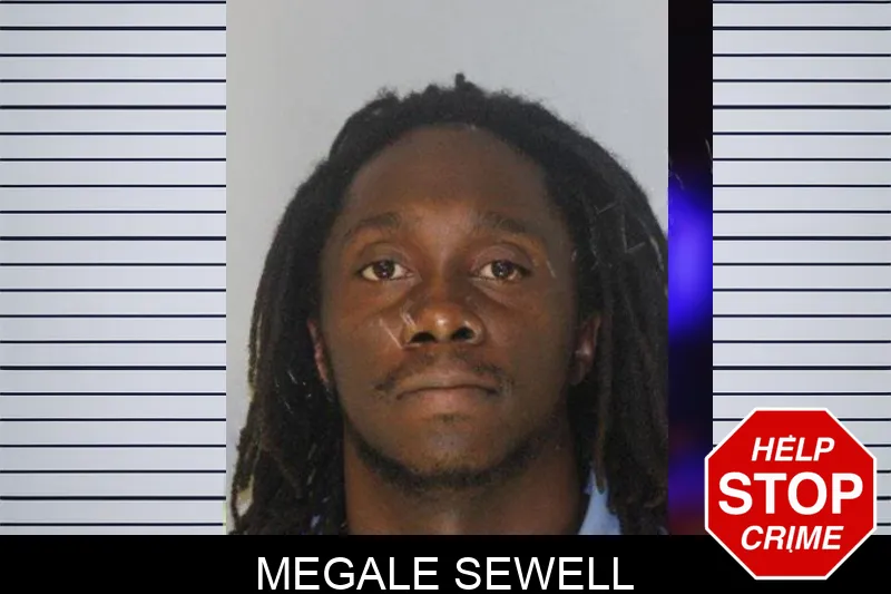 Megale Sewell Mugshots