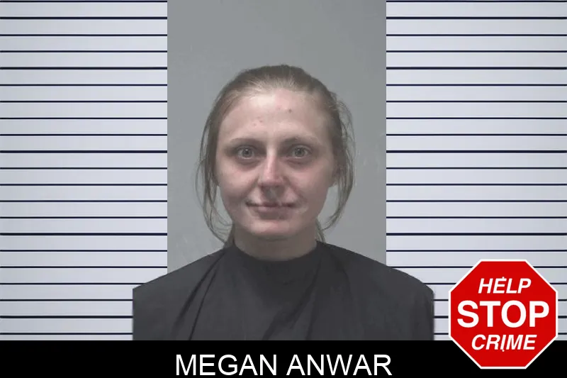 Megan Anwar Mugshots