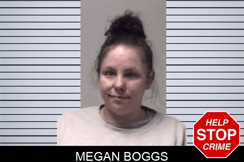 Megan Boggs Mugshots