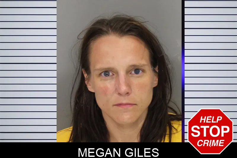Megan Giles mugshot