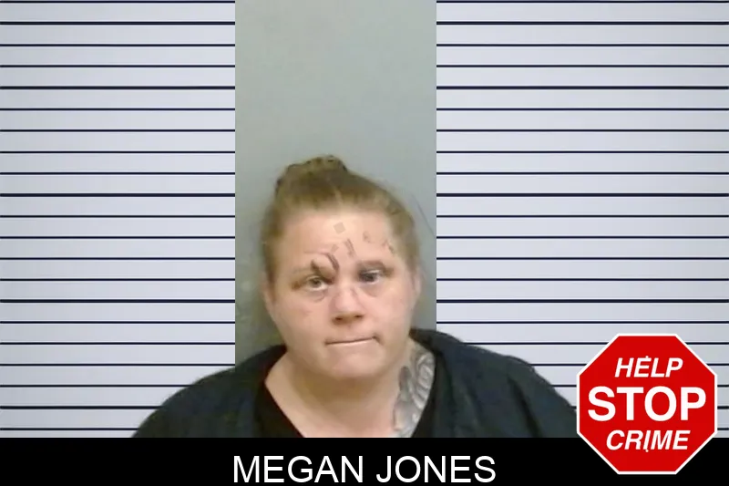 Megan Jones mugshot
