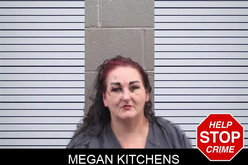 Megan Kitchens Mugshots