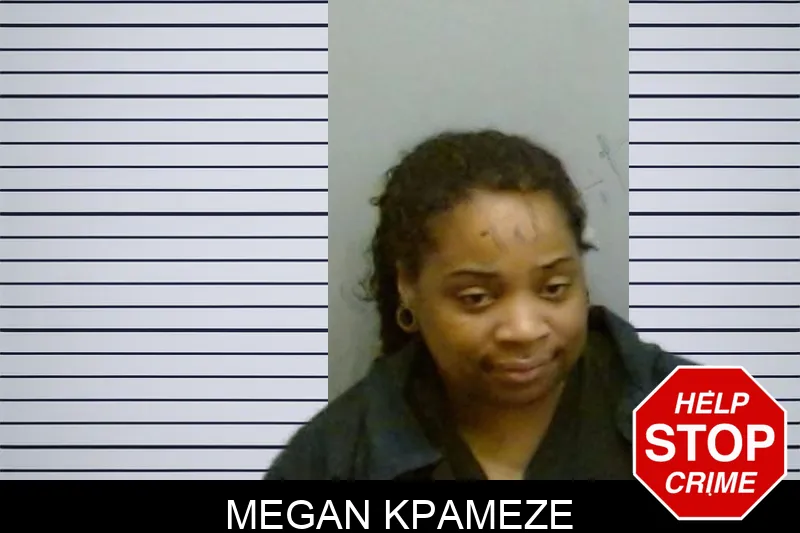 Megan Kpameze mugshot – Fulton County , Georgia Megan Kpameze mugshot