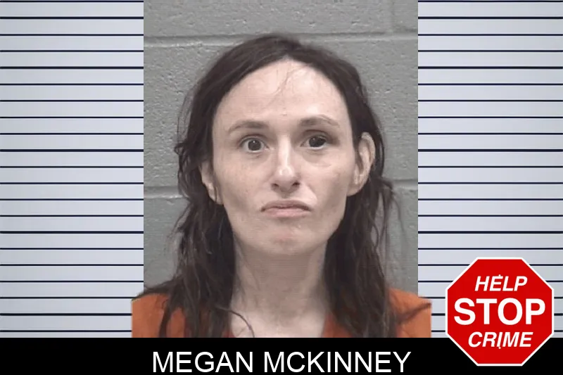 Megan McKinney Mugshots