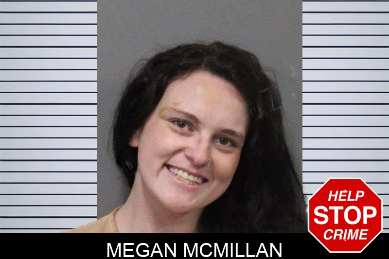 Megan McMillan Mugshots