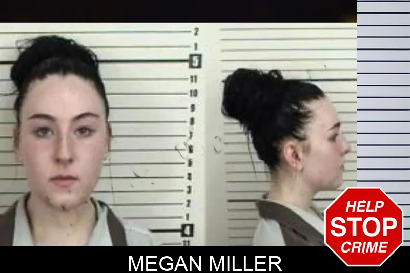 Megan Miller Mugshots