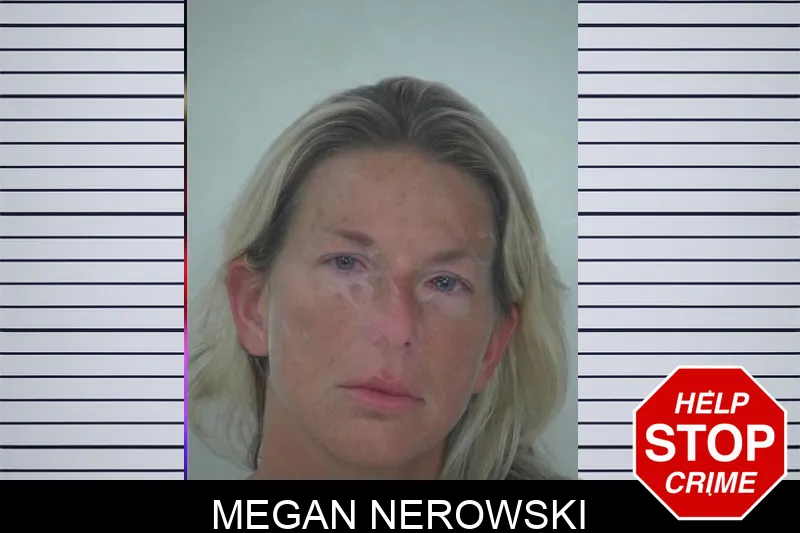 Megan Nerowski Mugshots