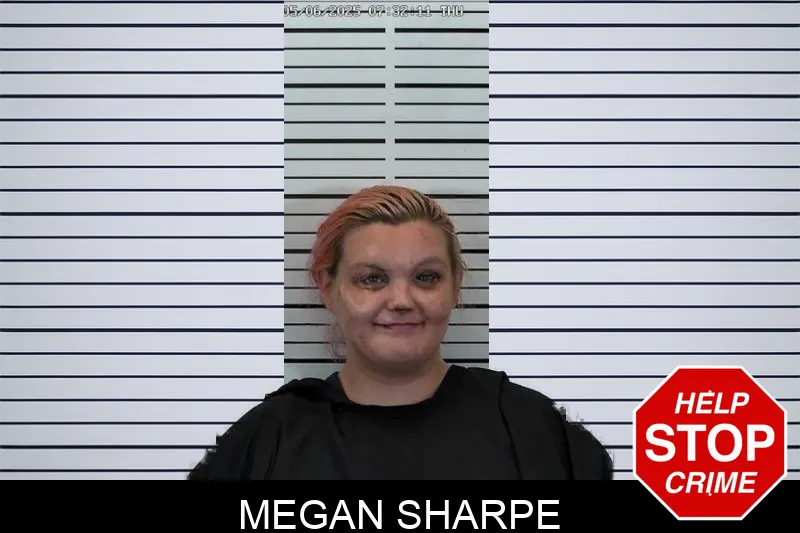 Megan Sharpe Mugshots