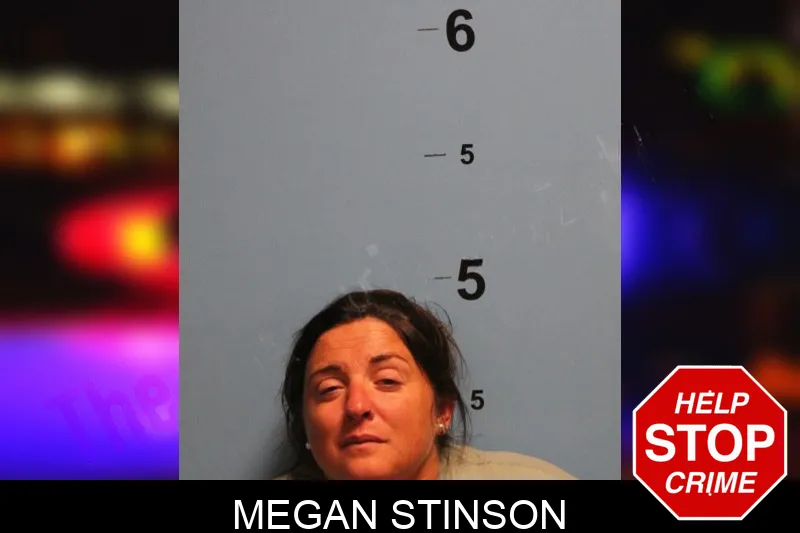 Megan Stinson Mugshots