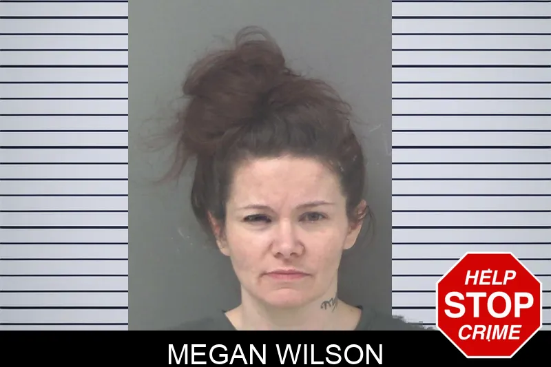 Megan Wilson mugshot