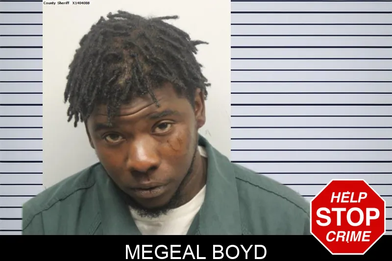 Megeal Boyd Mugshots